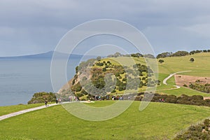 People walking on a trail at Shakespear Regional Park, New Zealand