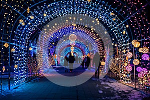 People Walking Through a Tunnel Covered in Christmas Lights