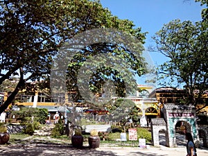 People walking under tree shade in jeju Korea