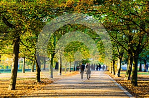 People walking under a treelined path at Greenwich Park