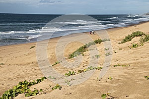 People walking on Wide Stretch of Beach with Blue Sea