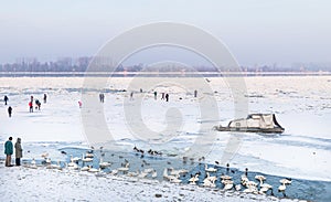 People walks on frozen river Danube