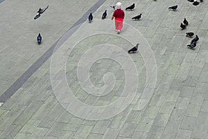 People walks on a summer day