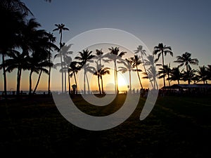 People watch dramatic Sunset dropping behind the ocean through Coconut trees on Kaimana Beach