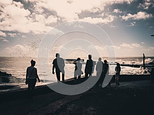 Waves watching on Madeira