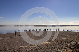 People watching the dolphins at Chanonry Point in the Moray Firth near Inverness, Scotland