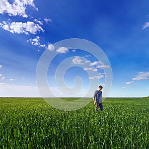 People wheat field sunset