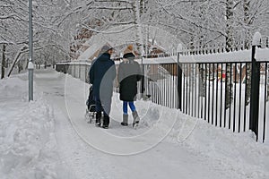 People, a young family park walk in the park in winter, snowfall in the park.