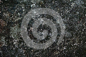 Pepagan is also called bark, which is the outermost layer of stems