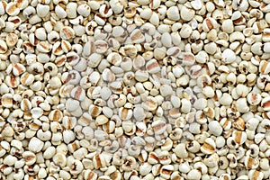 Pepared Job tear for cookind