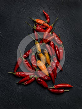 Peperoncino chilli peppers photo