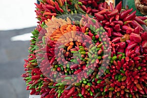 Peperoncino piccante di vari colori photo
