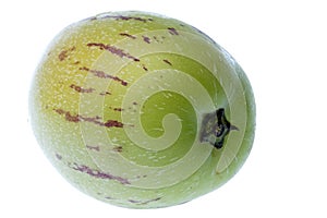 Pepino Dulce (Melon Pear) Isolated