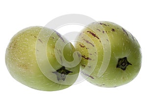 Pepino Dulce (Melon Pears) Isolated