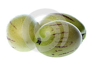 Pepino Dulce (Melon Pears) Isolated