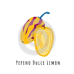 Pepino fruit flat vector illustration