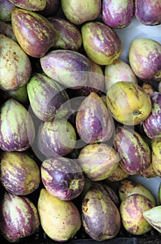 Pepinos melon in a market stall