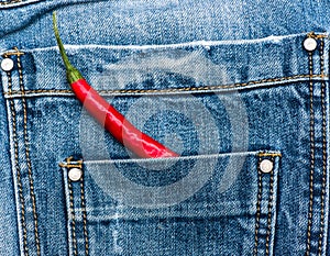 Pepper in back pocket of blue jeans. Pocket of jeans staffed with red chilly pepper, denim background. Piquant secret in