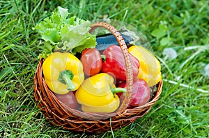 Pepper in basket on green nature grass background. Harvest