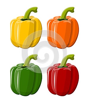Pepper bell vegetable isolated on white background