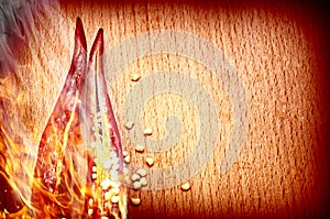 Pepper chilli in fire