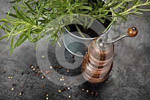 Pepper grinder on dark background