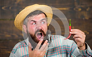 Pepper harvest concept. Rustic farmer in straw hat likes spicy taste. Man hold pepper harvest. Bearded farmer hold