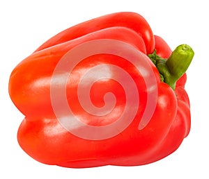 Pepper isolated photo