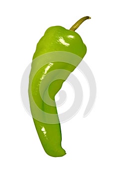 Pepper isolated on white
