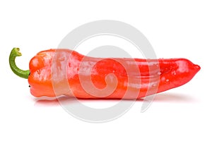 Pepper isolated on white
