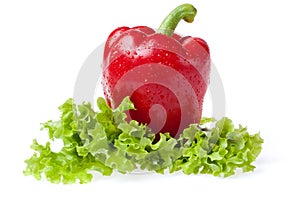 Pepper with litho of the salad