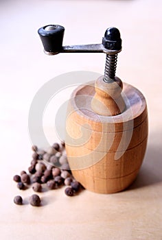 Pepper mill