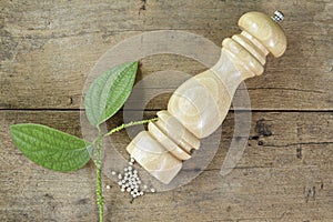Pepper mill and leaves on wooden plank