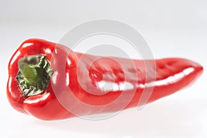 Pepper - Paprika photo