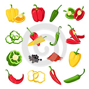 Pepper and paprika. Red, green and yellow sweet, hot and spicy peppers. Jalapeno, capsicum, cayenne and chili spice for