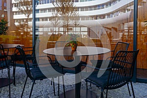 Pepper in a pot on a table