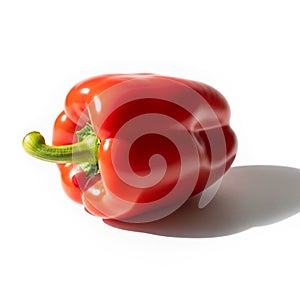 The pepper's shiny surface, suggesting freshness and emphasizing its