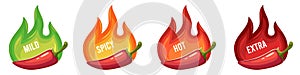Pepper spiciness levels. Hot spicy gradations stickers, jalapeno, chili, cayenne, colored flame, mild and spicy, hot and