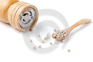 Pepper on wood spoon