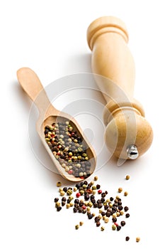 Pepper and wooden pepper mill