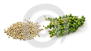 Peppercorn and Bunches of fresh green pepper on white b