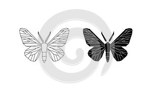 Peppered moth, Biston betularia melanic and light form. Vector illustration isolated on white background. photo