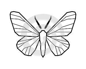 Peppered moth, Biston betularia . Vector icon on white photo