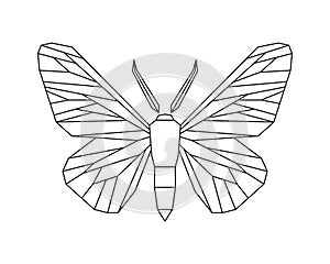 Peppered moth, Biston betularia . Vector icon on white photo