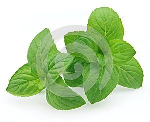 Peppermint photo