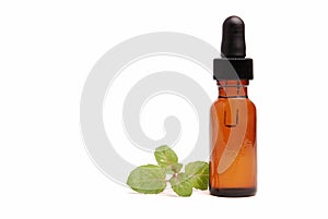 Peppermint Aromatherapy