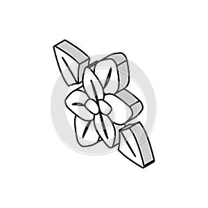 peppermint aromatherapy isometric icon vector illustration