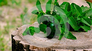 Peppermint essential oil drops in a bottle. Selective focus.