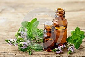 Peppermint essential oil and fresh peppermint flowers on the wooden table