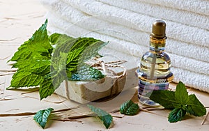 Peppermint essential oil in a glass bottle on a light table. Used in medicine, cosmetics and aromatherapy.